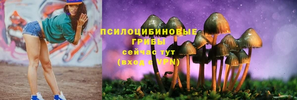 гашишное масло Гатчина