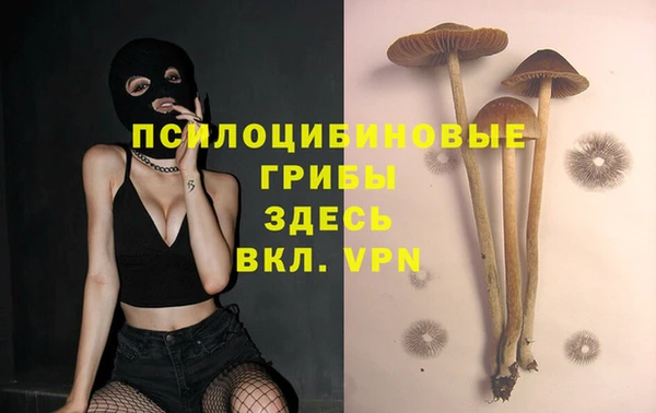 мяу мяу мука Заводоуковск