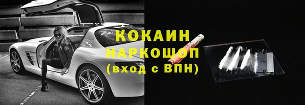 apvp Галич