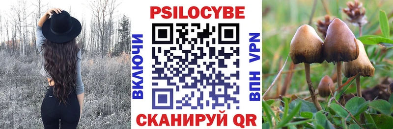 Галлюциногенные грибы Cubensis  Зея 